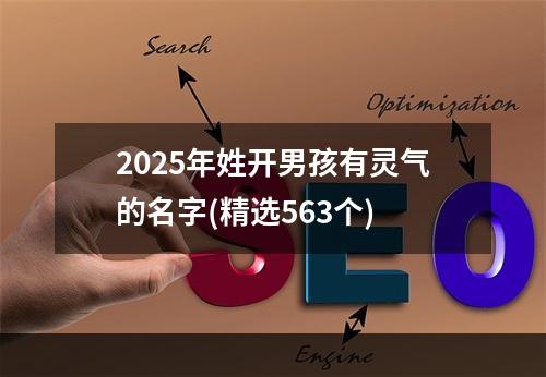 2025年姓开男孩有灵气的名字(精选563个)