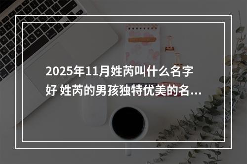 2025年11月姓芮叫什么名字好 姓芮的男孩独特优美的名字