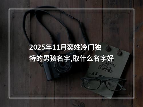 2025年11月奕姓冷门独特的男孩名字,取什么名字好