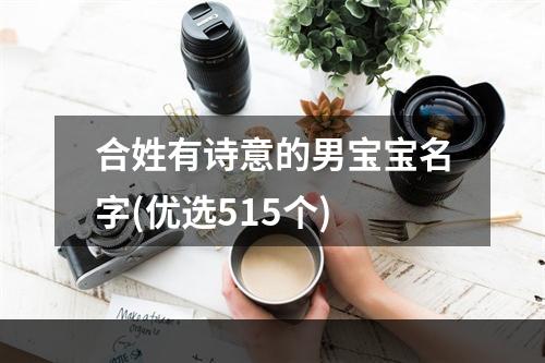 合姓有诗意的男宝宝名字(优选515个)