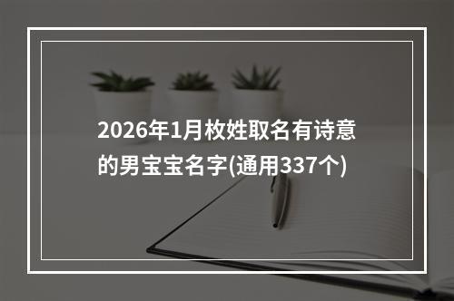 2026年1月枚姓取名有诗意的男宝宝名字(通用337个)