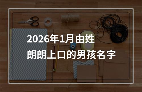 2026年1月由姓朗朗上口的男孩名字