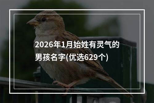 2026年1月始姓有灵气的男孩名字(优选629个)