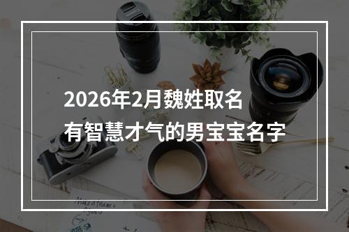 2026年2月魏姓取名有智慧才气的男宝宝名字
