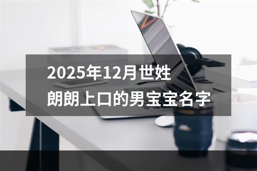 2025年12月世姓朗朗上口的男宝宝名字