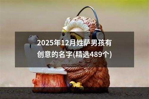 2025年12月姓萨男孩有创意的名字(精选489个)