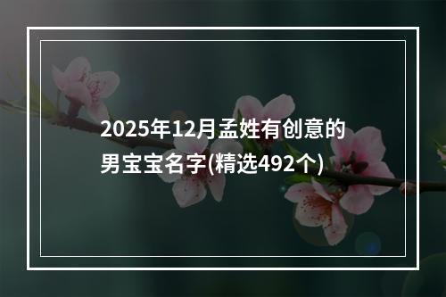 2025年12月孟姓有创意的男宝宝名字(精选492个)