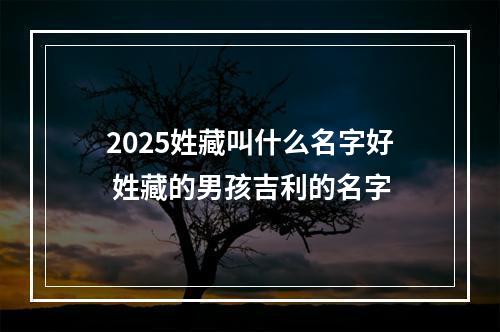 2025姓藏叫什么名字好 姓藏的男孩吉利的名字