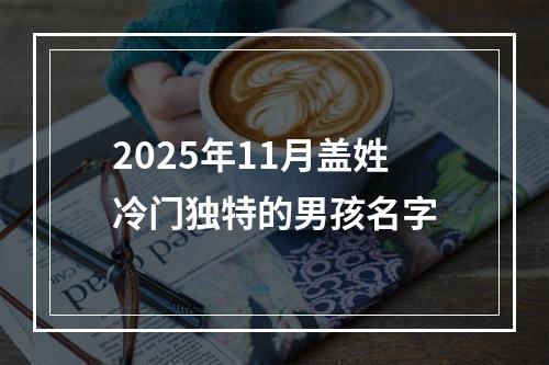 2025年11月盖姓冷门独特的男孩名字