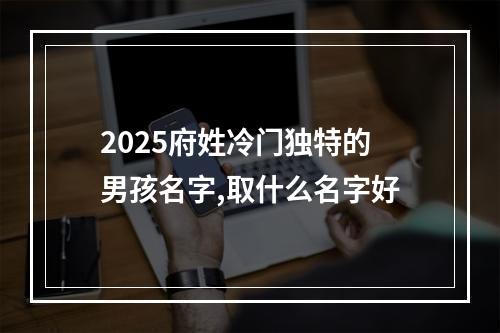 2025府姓冷门独特的男孩名字,取什么名字好