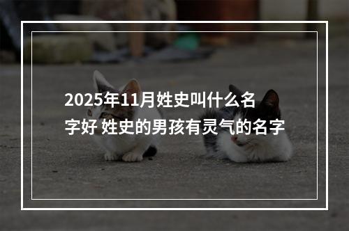 2025年11月姓史叫什么名字好 姓史的男孩有灵气的名字