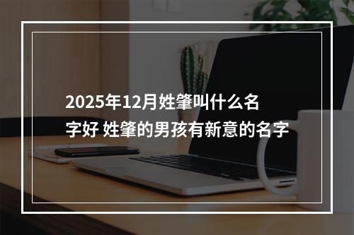 2025年12月姓肇叫什么名字好 姓肇的男孩有新意的名字