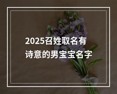 2025召姓取名有诗意的男宝宝名字