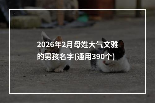 2026年2月母姓大气文雅的男孩名字(通用390个)