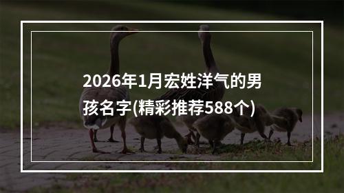2026年1月宏姓洋气的男孩名字(精彩推荐588个)
