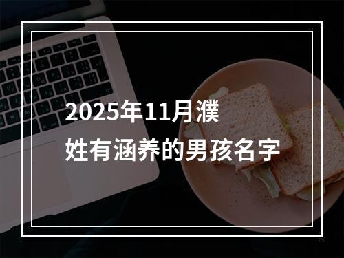 2025年11月濮姓有涵养的男孩名字