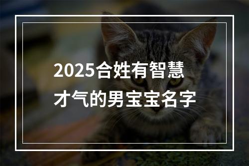 2025合姓有智慧才气的男宝宝名字