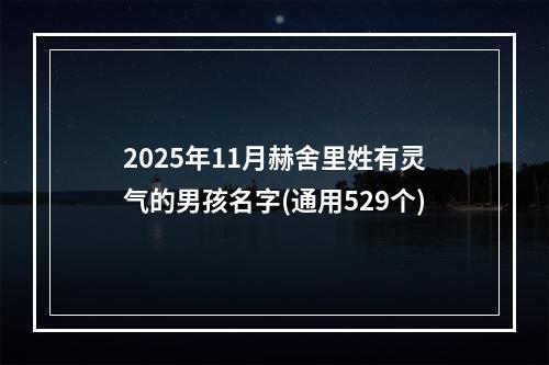 2025年11月赫舍里姓有灵气的男孩名字(通用529个)