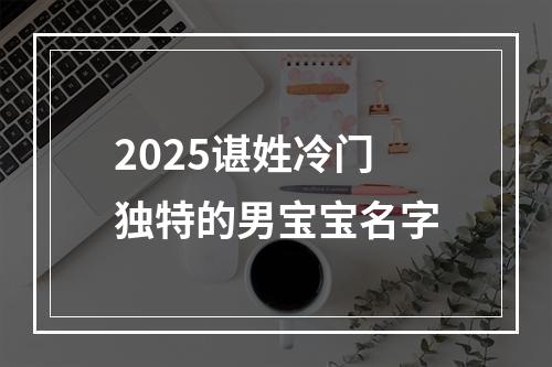 2025谌姓冷门独特的男宝宝名字
