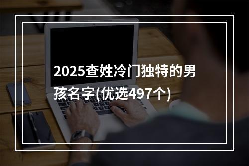 2025查姓冷门独特的男孩名字(优选497个)