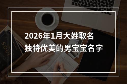 2026年1月大姓取名独特优美的男宝宝名字