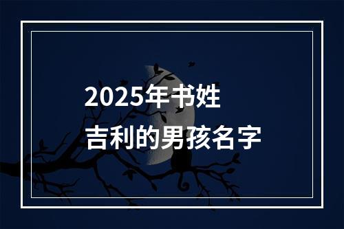 2025年书姓吉利的男孩名字