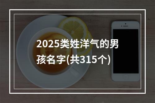 2025类姓洋气的男孩名字(共315个)