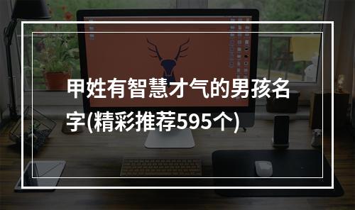 甲姓有智慧才气的男孩名字(精彩推荐595个)