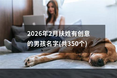2026年2月扶姓有创意的男孩名字(共350个)
