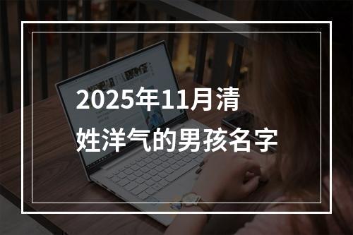 2025年11月清姓洋气的男孩名字
