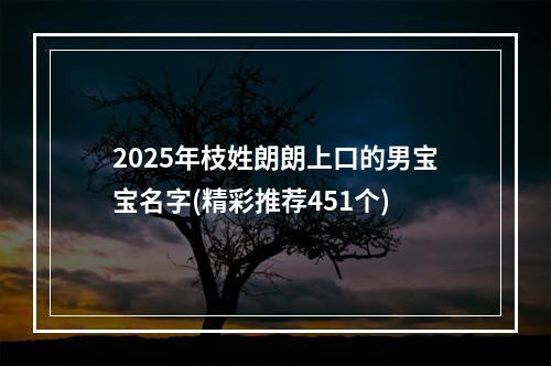 2025年枝姓朗朗上口的男宝宝名字(精彩推荐451个)