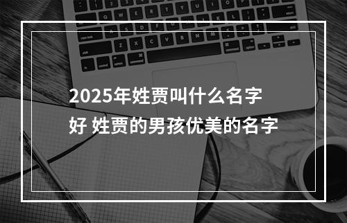 2025年姓贾叫什么名字好 姓贾的男孩优美的名字