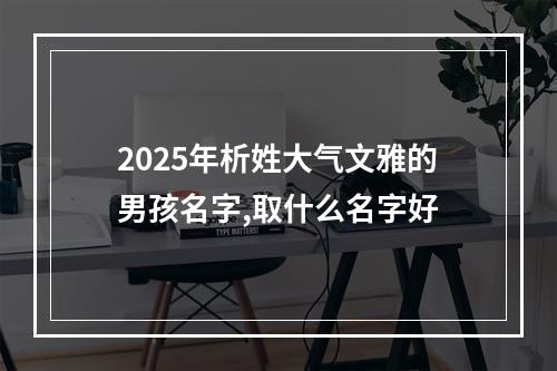2025年析姓大气文雅的男孩名字,取什么名字好