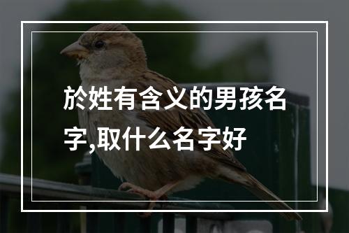 於姓有含义的男孩名字,取什么名字好