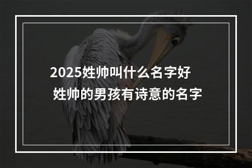 2025姓帅叫什么名字好 姓帅的男孩有诗意的名字