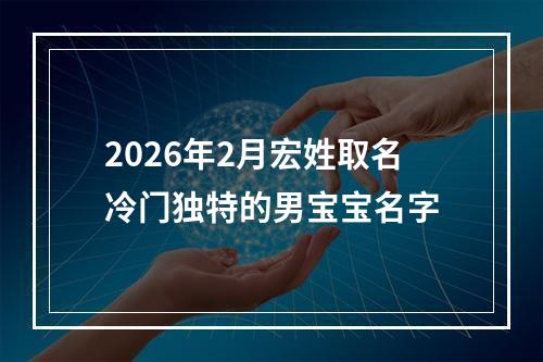 2026年2月宏姓取名冷门独特的男宝宝名字