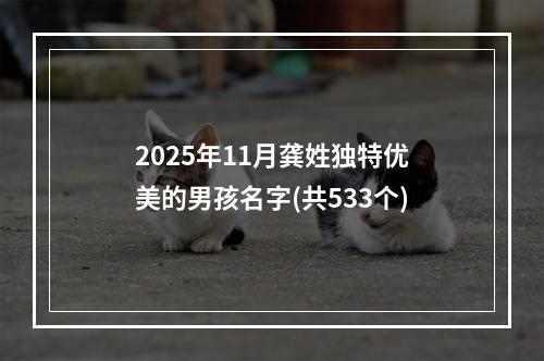 2025年11月龚姓独特优美的男孩名字(共533个)
