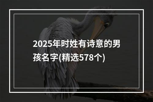 2025年时姓有诗意的男孩名字(精选578个)