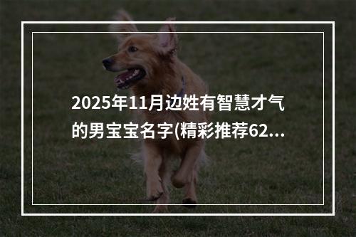 2025年11月边姓有智慧才气的男宝宝名字(精彩推荐629个)