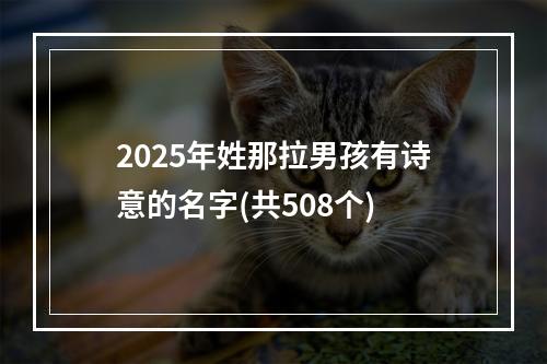2025年姓那拉男孩有诗意的名字(共508个)