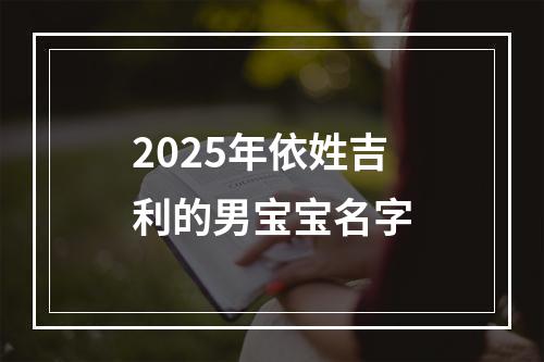 2025年依姓吉利的男宝宝名字
