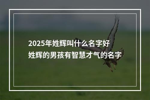 2025年姓辉叫什么名字好 姓辉的男孩有智慧才气的名字