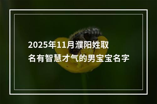 2025年11月濮阳姓取名有智慧才气的男宝宝名字