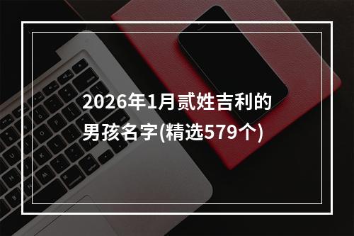 2026年1月贰姓吉利的男孩名字(精选579个)