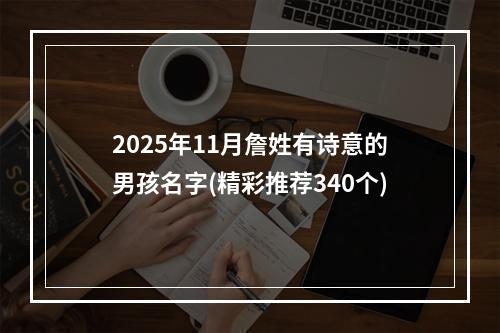 2025年11月詹姓有诗意的男孩名字(精彩推荐340个)