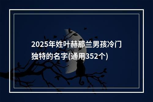 2025年姓叶赫那兰男孩冷门独特的名字(通用352个)