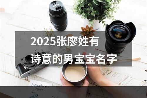 2025张廖姓有诗意的男宝宝名字