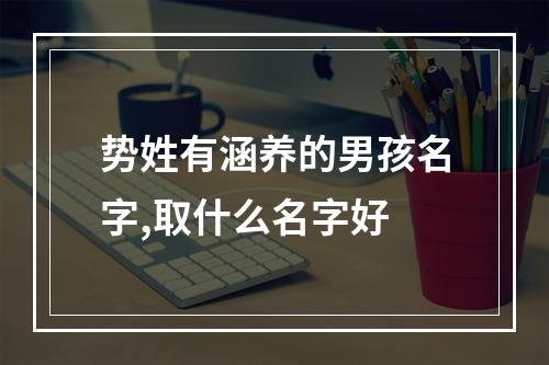 势姓有涵养的男孩名字,取什么名字好