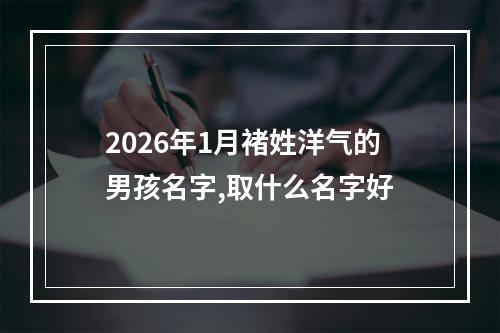 2026年1月褚姓洋气的男孩名字,取什么名字好
