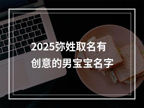 2025弥姓取名有创意的男宝宝名字